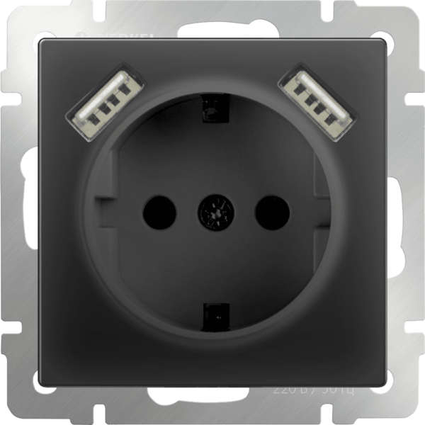 Розетка Werkel с заземлением, шторками и USBх2 (черный матовый) IP20